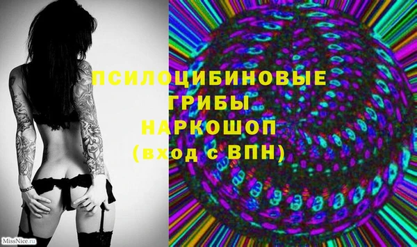 хмурый Алзамай