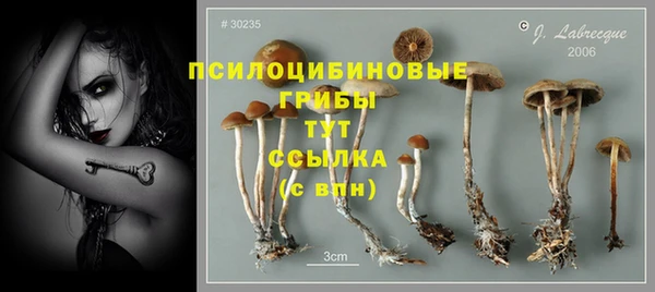 хмурый Алзамай