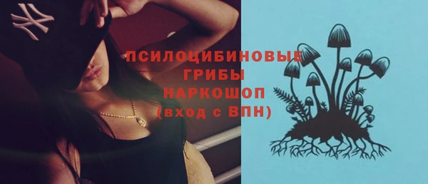 хмурый Алзамай