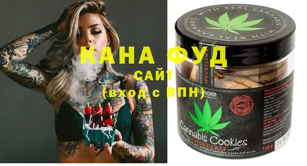 хмурый Алзамай