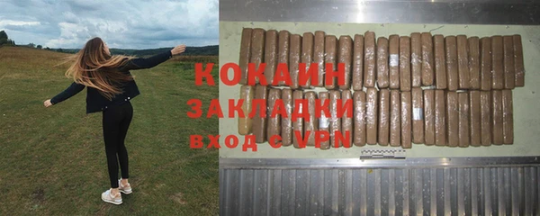 хмурый Алзамай