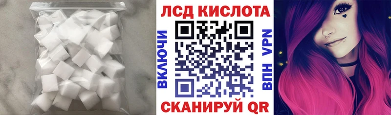 где продают наркотики  Всеволожск  LSD-25 экстази ecstasy 