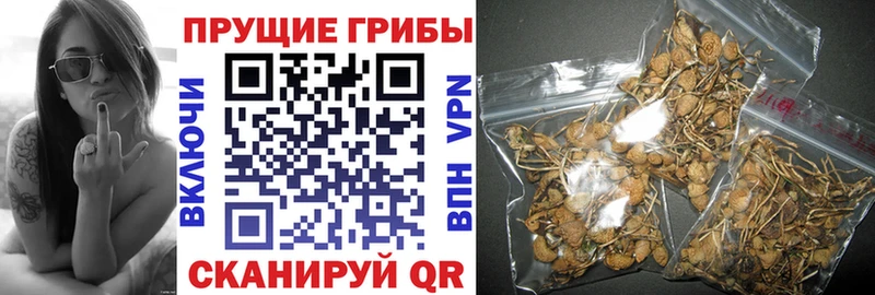 Галлюциногенные грибы мухоморы  Всеволожск 